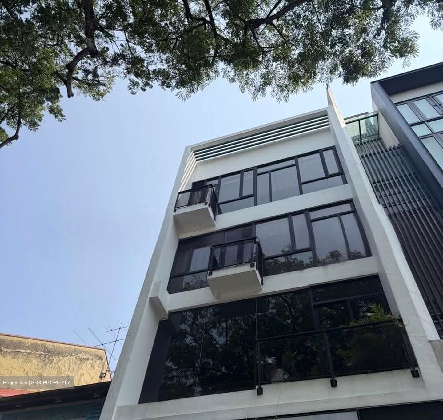 Coronation Shopping Plaza (D10), Apartment #614452591